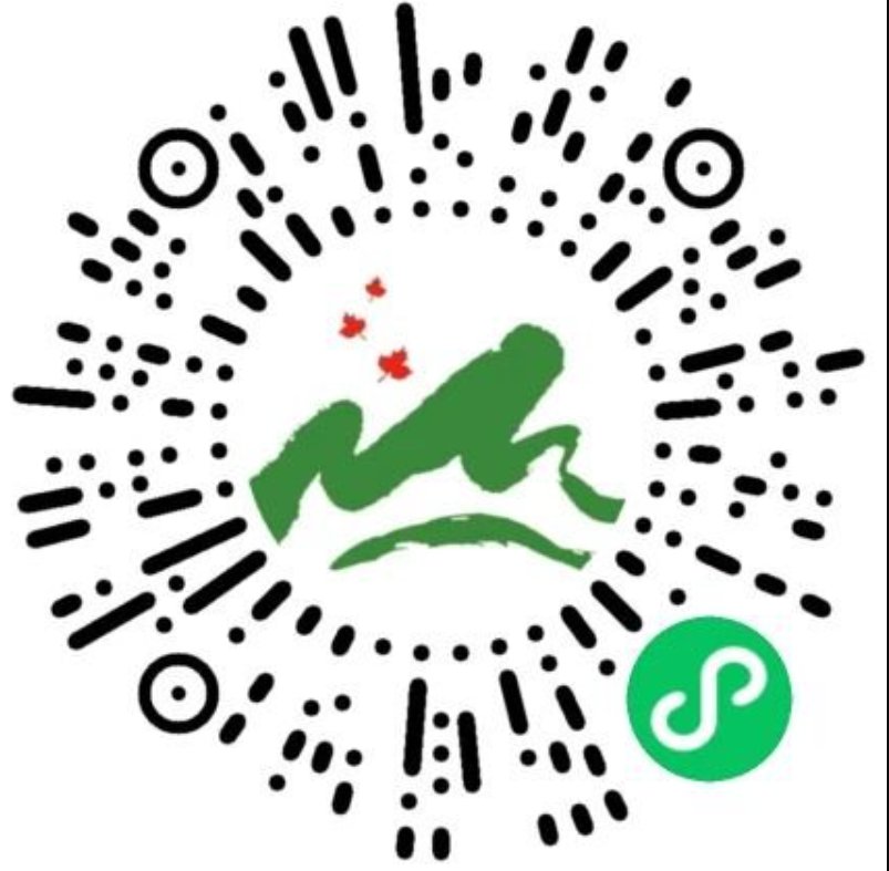 长沙橘子洲游玩攻略 线上预约+景点介绍+观光车购票插图(1)