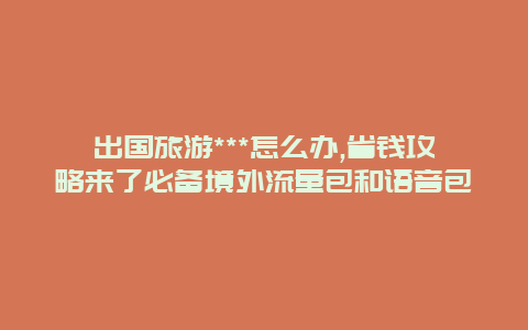 出国旅游***怎么办,省钱攻略来了必备境外流量包和语音包