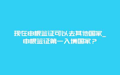 现在申根签证可以去其他国家_申根签证第一入境国家？