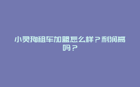 小灵狗租车加盟怎么样？利润高吗？