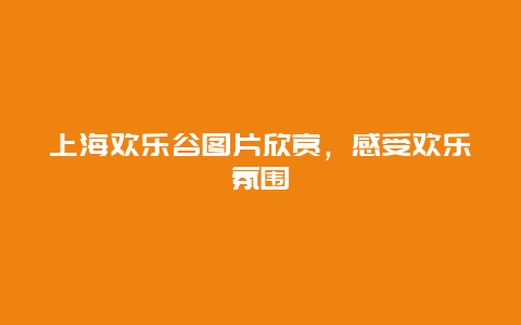 上海欢乐谷图片欣赏，感受欢乐氛围
