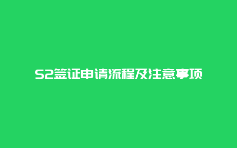 S2签证申请流程及注意事项