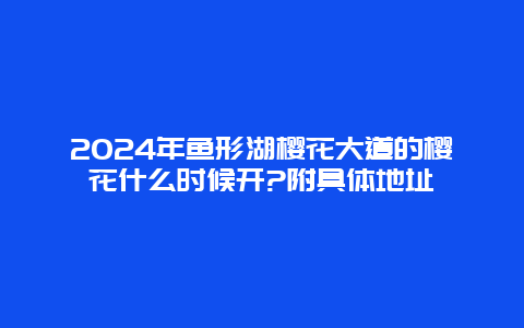 2024年鱼形湖樱花大道的樱花什么时候开?附具体地址