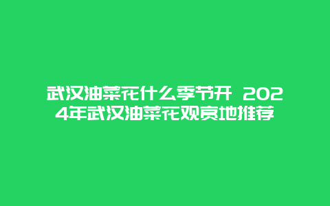 武汉油菜花什么季节开 2024年武汉油菜花观赏地推荐