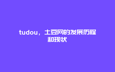 tudou，土豆网的发展历程和现状