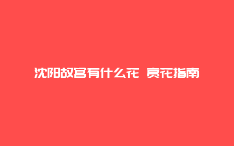 沈阳故宫有什么花 赏花指南