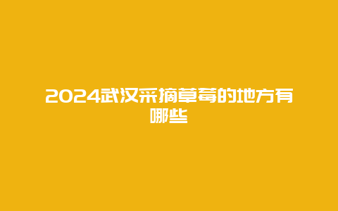 2024武汉采摘草莓的地方有哪些