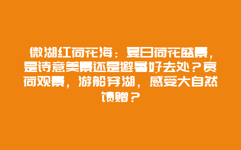 微湖红荷花海：夏日荷花盛景，是诗意美景还是避暑好去处？赏荷观景，游船穿湖，感受大自然馈赠？