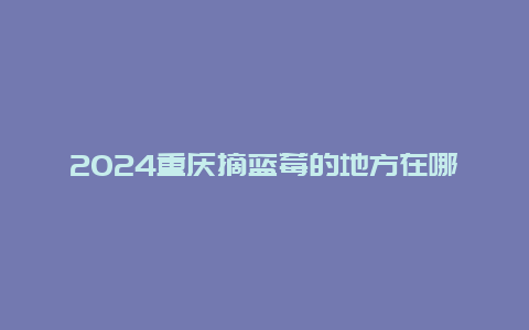 2024重庆摘蓝莓的地方在哪