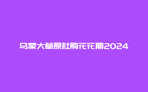 乌蒙大草原杜鹃花花期2024