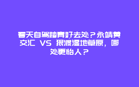 春天自驾踏青好去处？永靖黄洮交汇 VS 狼渡湿地草原，哪处更怡人？
