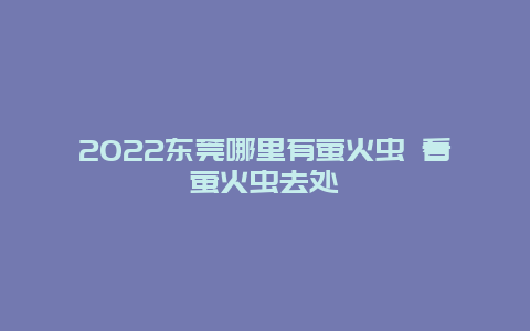 2022东莞哪里有萤火虫 看萤火虫去处