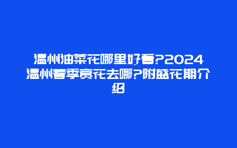 温州油菜花哪里好看?2024温州春季赏花去哪?附盛花期介绍