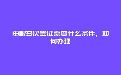 申根多次签证需要什么条件，如何办理