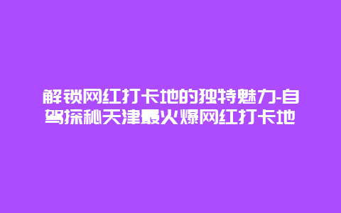 解锁网红打卡地的独特魅力-自驾探秘天津最火爆网红打卡地