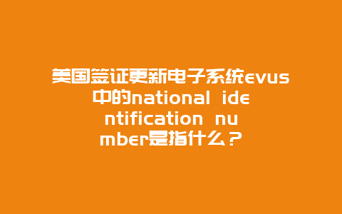 美国签证更新电子系统evus中的national identification number是指什么？