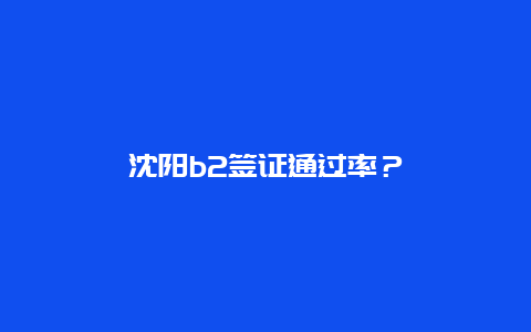 沈阳b2签证通过率？