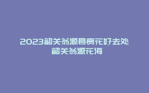 2024韶关翁源县赏花好去处 韶关翁源花海