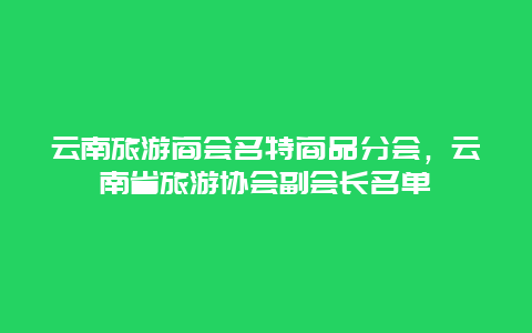 云南旅游商会名特商品分会，云南省旅游协会副会长名单