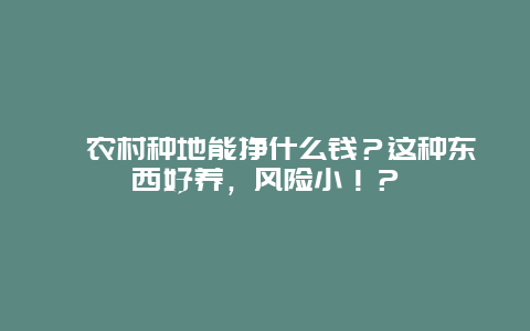 农村种地能挣什么钱？这种东西好养，风险小！？