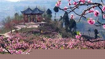 成都龙泉驿桃花开了吗2024 2024年龙泉驿的桃花开没有