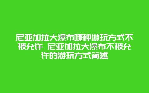 尼亚加拉大瀑布哪种游玩方式不被允许 尼亚加拉大瀑布不被允许的游玩方式简述