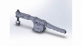 2024年北京奥森公园第十二届花卉观赏季开展通知