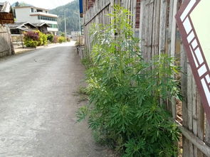 免费垂钓的地方