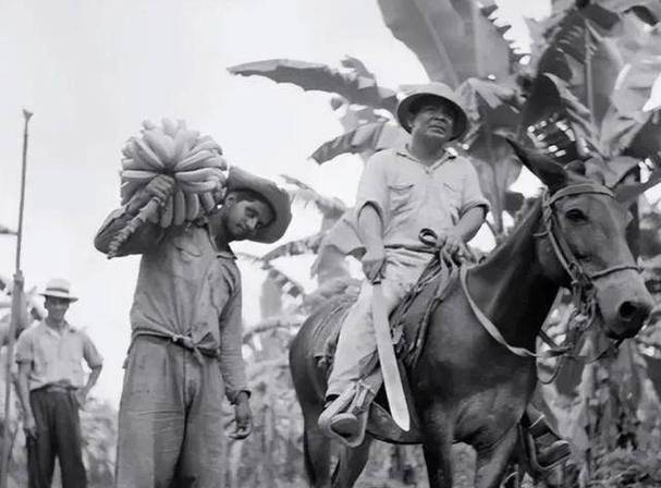 漂泊在外国的中国人:出国,就是一个围城