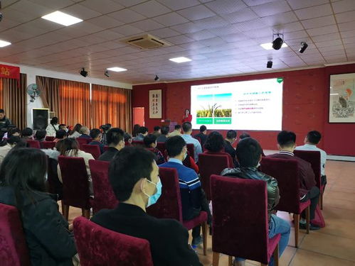 文博会观察：广东旅游民宿产业兴旺，成乡村振兴新引擎