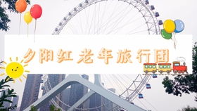 沈阳夕阳红旅游