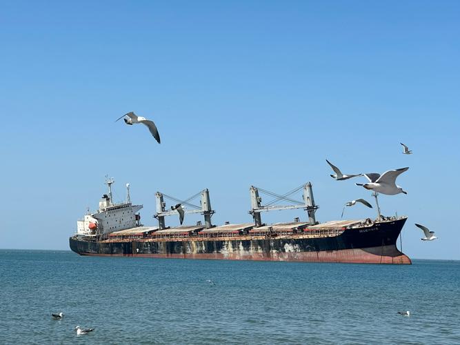 威海，威海天气预报一周 7天