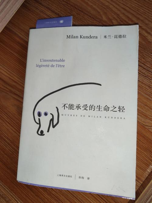 《时光深处的回响：一段不为人知的历史》