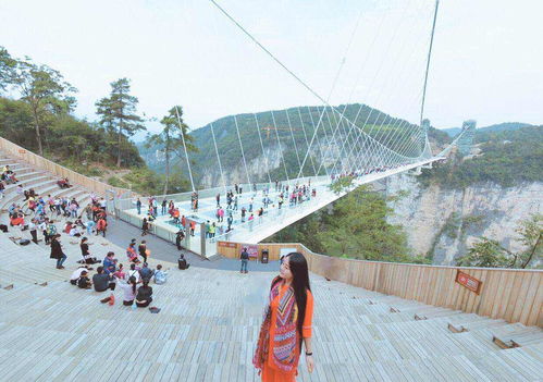 户外电梯多少钱一部