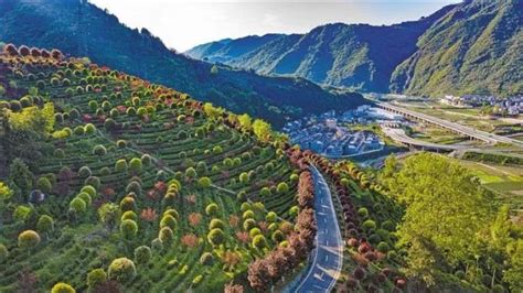 陕西野河山生态旅游景区