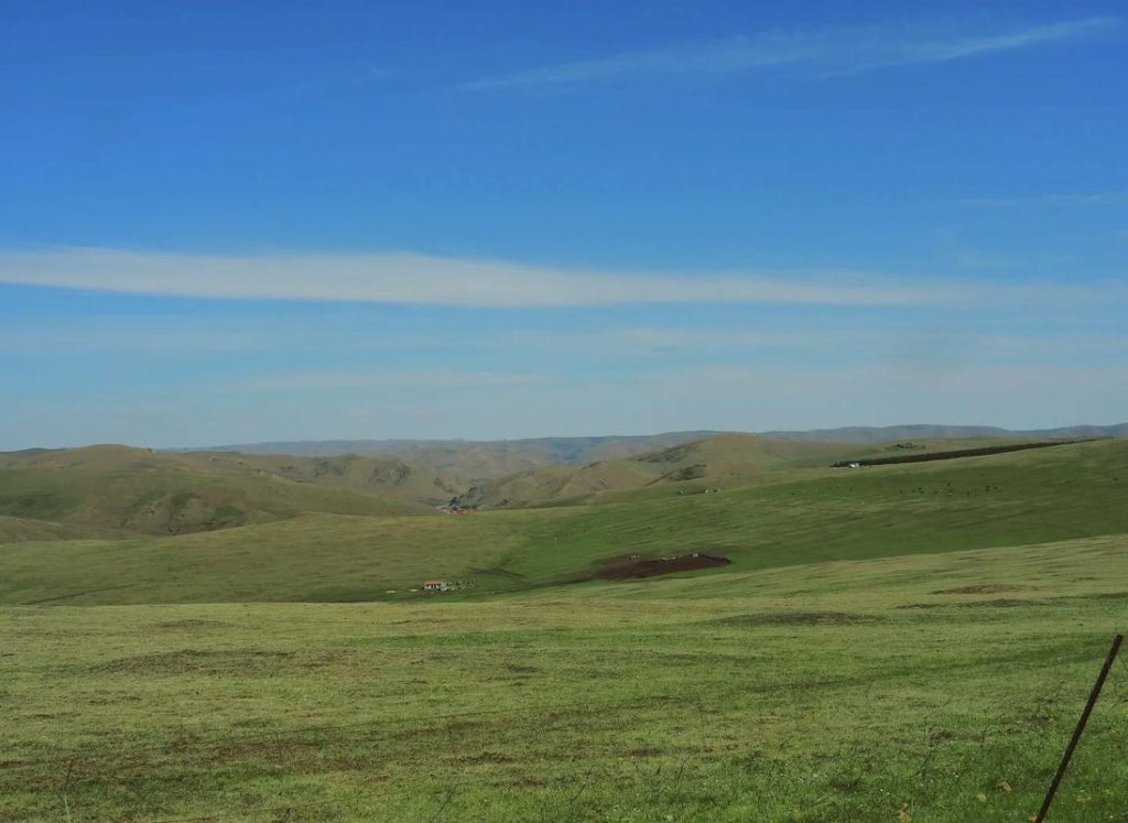 呼和浩特草原，呼和浩特草原有几个大草原