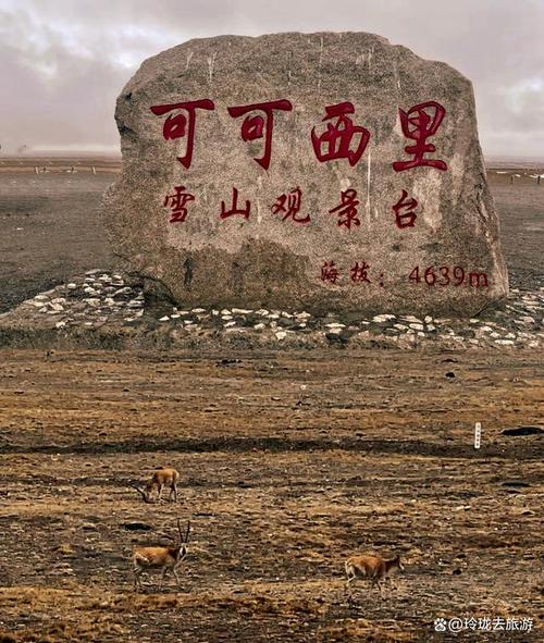 青海旅游景点大全排名，青海旅游景点大全排名榜？