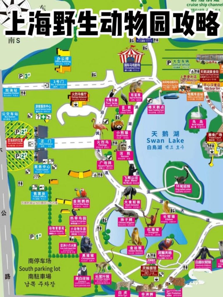 上海自由行导游推荐？上海十佳导游？