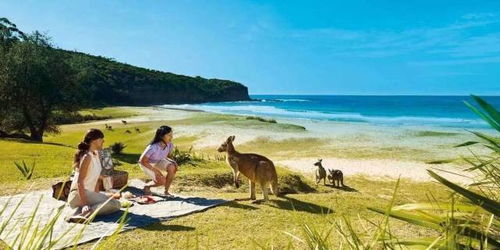 澳洲旅游带什么回来好