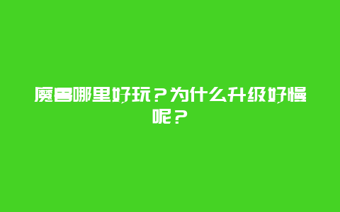 魔兽哪里好玩？为什么升级好慢呢？