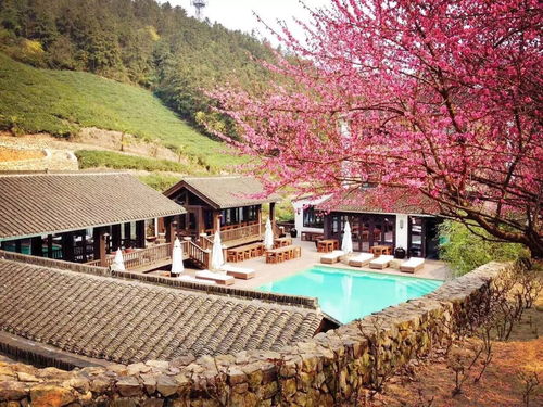 莫干山风景区旅游攻略