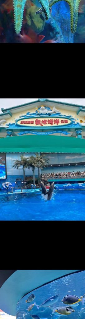 成都海洋馆一日游攻略，成都海洋馆一日游攻略路线