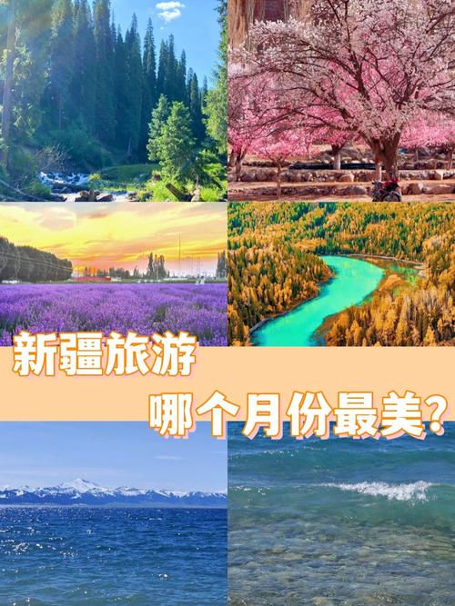 去哪里旅游风景好？去哪里旅游风景比较好？