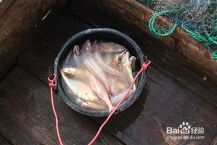 浙江嵊泗列岛好玩吗