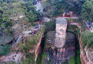 成都乐山大佛旅游多久能逛完