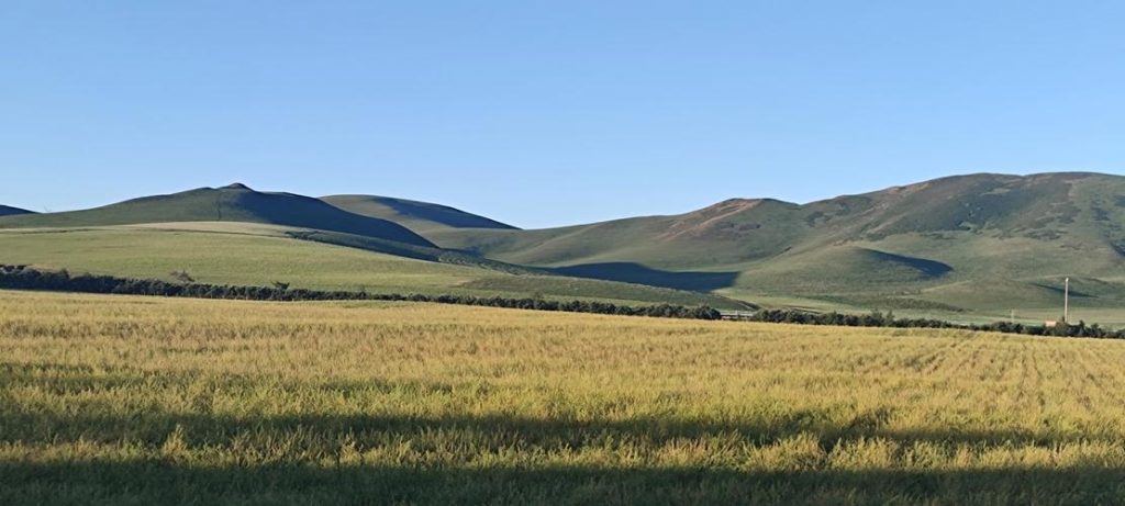 坝上草原天气，坝上草原天气预报7天查询