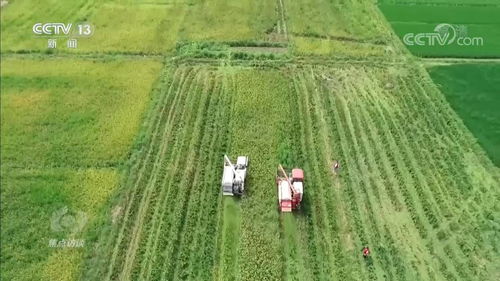 露营文化的兴起