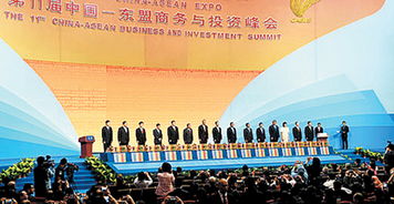 中国高水平开放为共建区域大市场注入重要动力