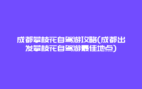 成都攀枝花自驾游攻略(成都出发攀枝花自驾游最佳地点)