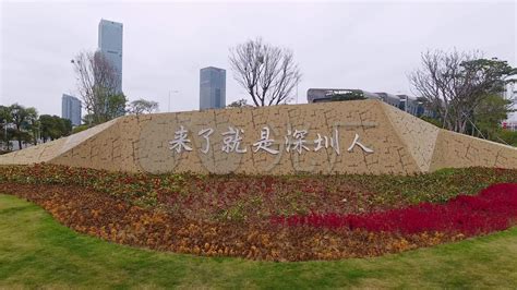 欢迎来到深圳图片